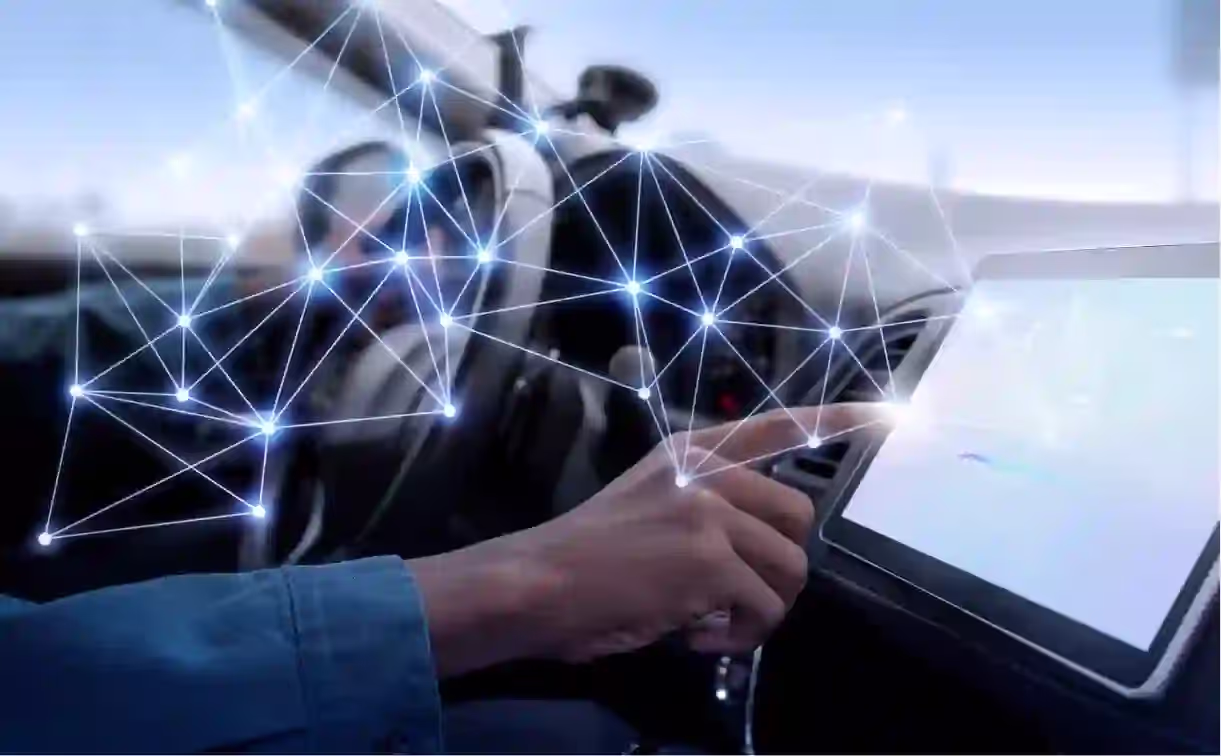 Regulatory Evolution